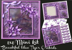 8x8 Mini Kit Beautiful Lilac Tiger Orchids
