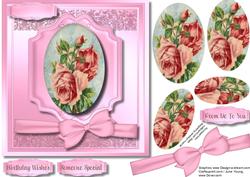 Beautiful Pink Cameo Roses