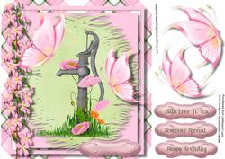 Beautiful Butterfly's at the Water Pump