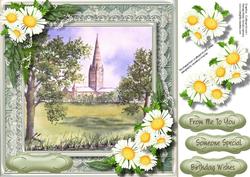 Beautiful Daisy's at Salisbury Cathedral