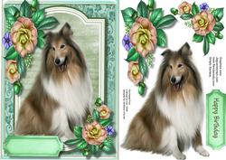 Beautiful Border Collie with Camellias 
