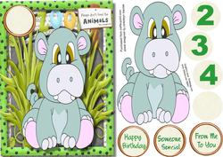 Hippo's Birthday at the Zoo