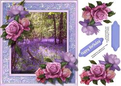 Lovely Bluebell Woods and Belleep Roses