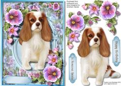 Beautiful King Charles Spaniel with Pansy's