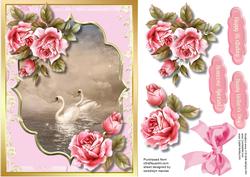 Beautiful Roses and Swans