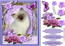Beautiful White Cat with Roses
