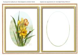 Incert, Signs of Spring