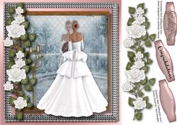 Reflections of a Bride