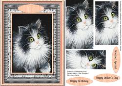 Beautiful Kitten in Monochrome and Peach