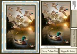 Beautiful Flight of the Mallards 