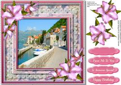 Beautiful Scene and Hibiskus