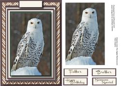 Beautiful Snow Owl , Card and Topper