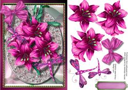 Lovely Deep Pink Lilly's Abd Dragonfly