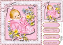 A Bundle of Joy in a Bootie ( Girl)