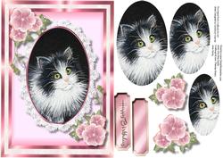 Beautiful Cat in a Oval Lace Frame , Pyramid