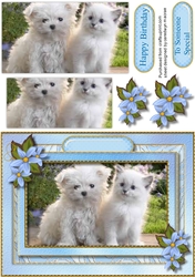 Gorgeous Friends Forever