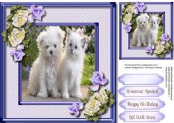 Beautiful Forever Friends , Lilac