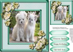 Beautiful Forever Friends, Green 