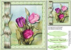 Beautiful Spring Tulips in a Pearl Frame