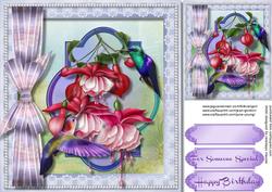 Stunning Fushias and Humming Birds in a Pearl Frame 