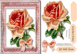 Beautiful Single Roses , Get Well Soon