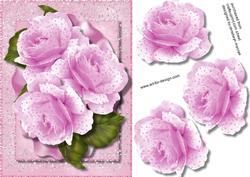Beautiful Arabesque Pink Roses