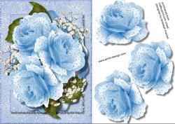 Beautiful Blue Arabesque Roses
