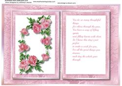 Incert , with Verse Pink 
