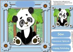 Cute Little Panda Boy