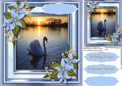 Beautiful Swan on the Lake 