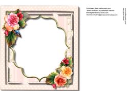 Incert with Lovely Begonias
