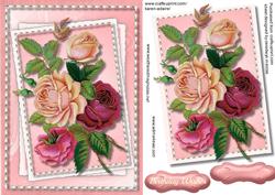 Lovely Pink Roses in a Stitched Frame