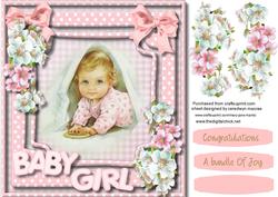Sweet Little Baby Girl