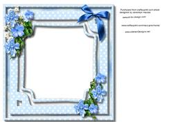 Incert Blue Flowers .