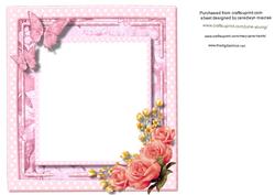 Incert Pink with Butterfly's and Roses