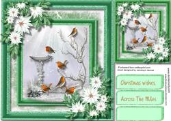 The Gathering of Robins