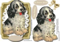 Cute and Adorable Spaniel Pup