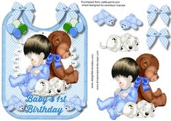 Baby Boys 1st Birthday on a Bib