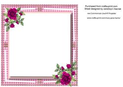 Lovey Cerise Incert with Roses on a Gingham Frame
