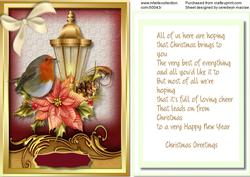 Beautiful Robin on a Christmas Lamp