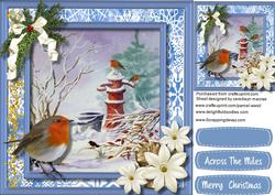 Beautiful Robins on the Water Pump 