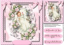 A Beautiful Bundle of Joy for a Girl