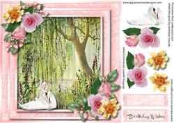 Beautifu Swans on the River Bank 