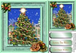 Christmas Tree in the Square