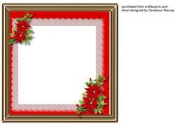 Incert , Christmas Poinsettias
