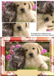 Friends Forever