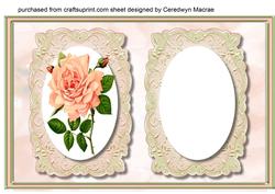 Incert Peach Rose