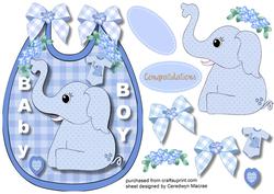 Cute Baby Boy Bib