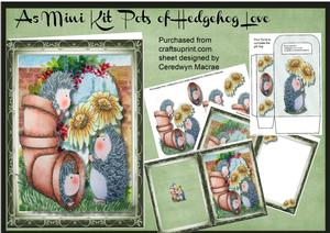 A5 Mini Kit , Pots of Hedgehog Love
