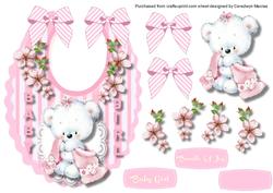 Girls Baby Bib ,for a Bundle of Joy